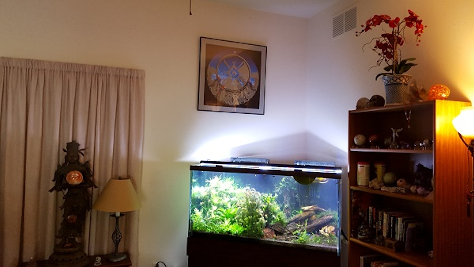 Built-in bedroom wall aquarium installation