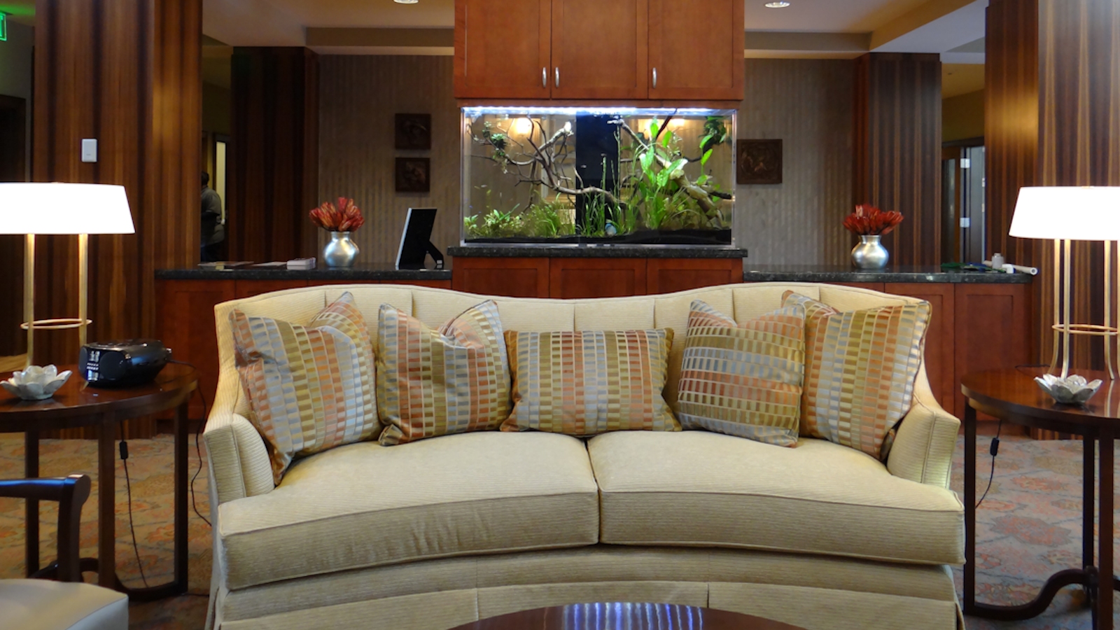 Living room discus fish tank maintenance