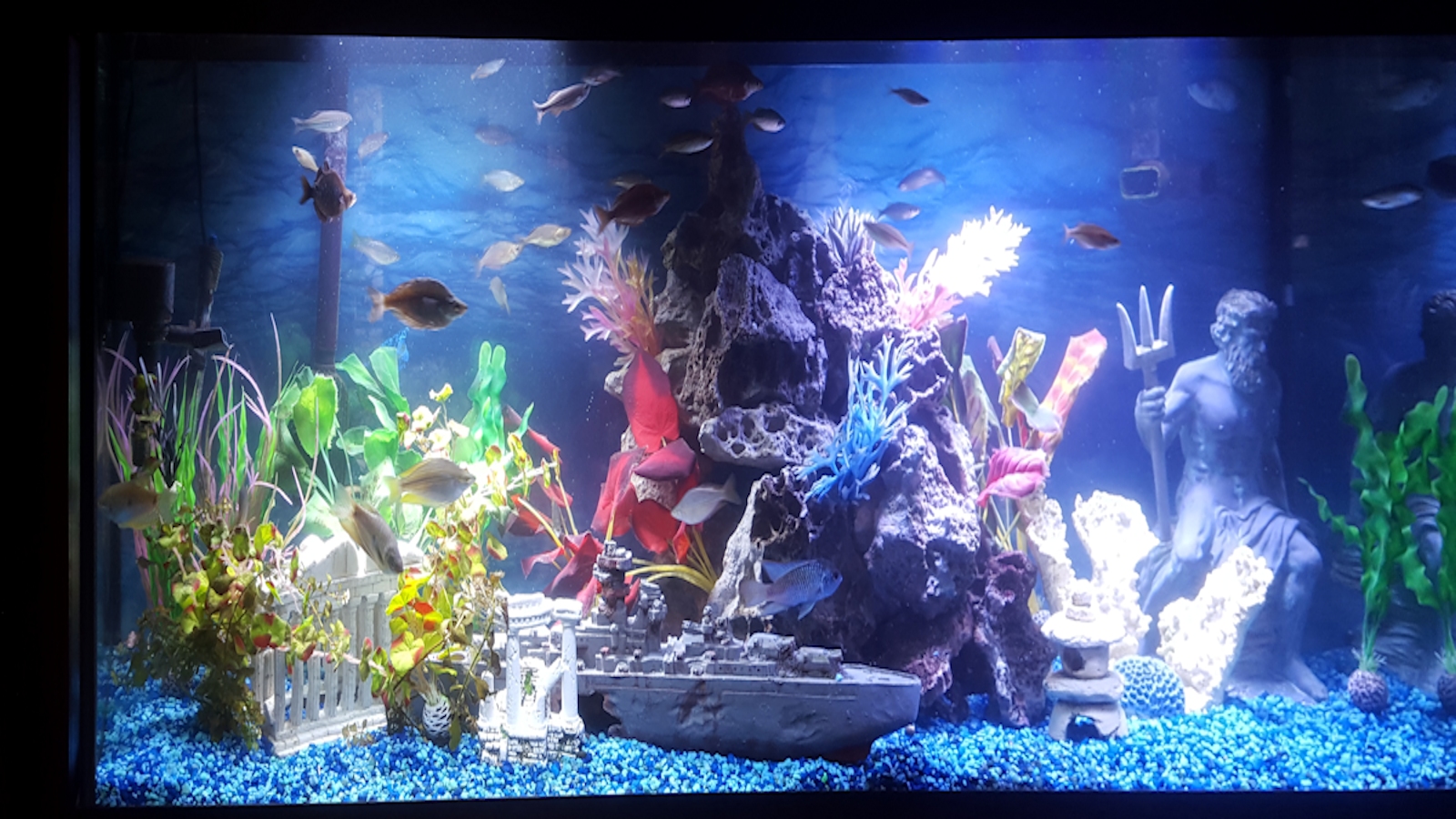 Nano aquarium for children's room